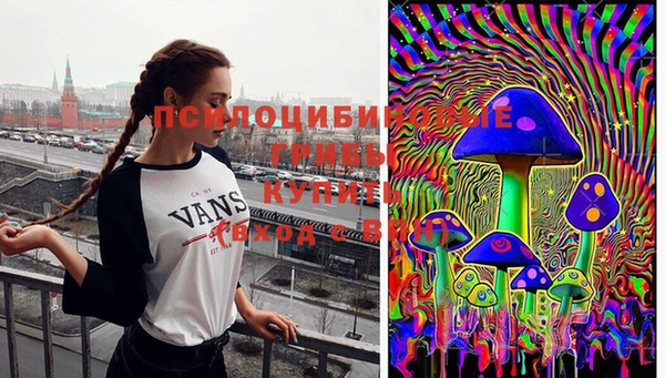 a pvp Абинск