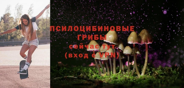 a pvp Абинск