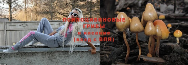 a pvp Абинск
