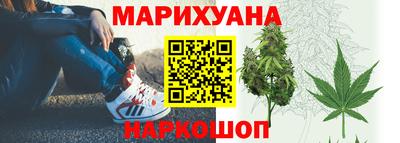 apvp Можга
