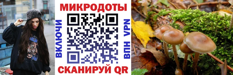 Галлюциногенные грибы MAGIC MUSHROOMS  купить  сайты  Иркутск 