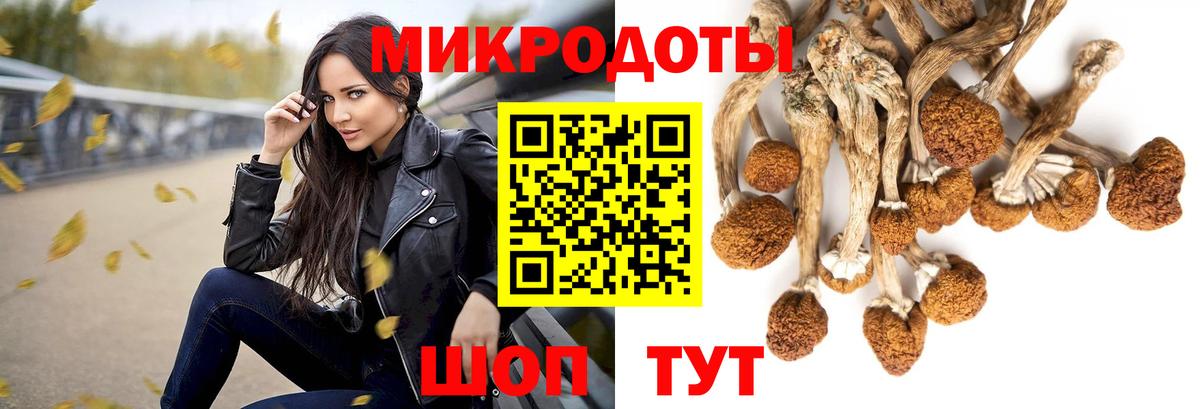 Псилоцибиновые грибы MAGIC MUSHROOMS Иркутск