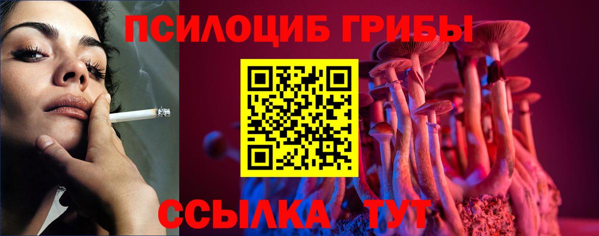 Иркутск  Псилоцибиновые грибы Cubensis  где найти наркотики  Вход с VPN 